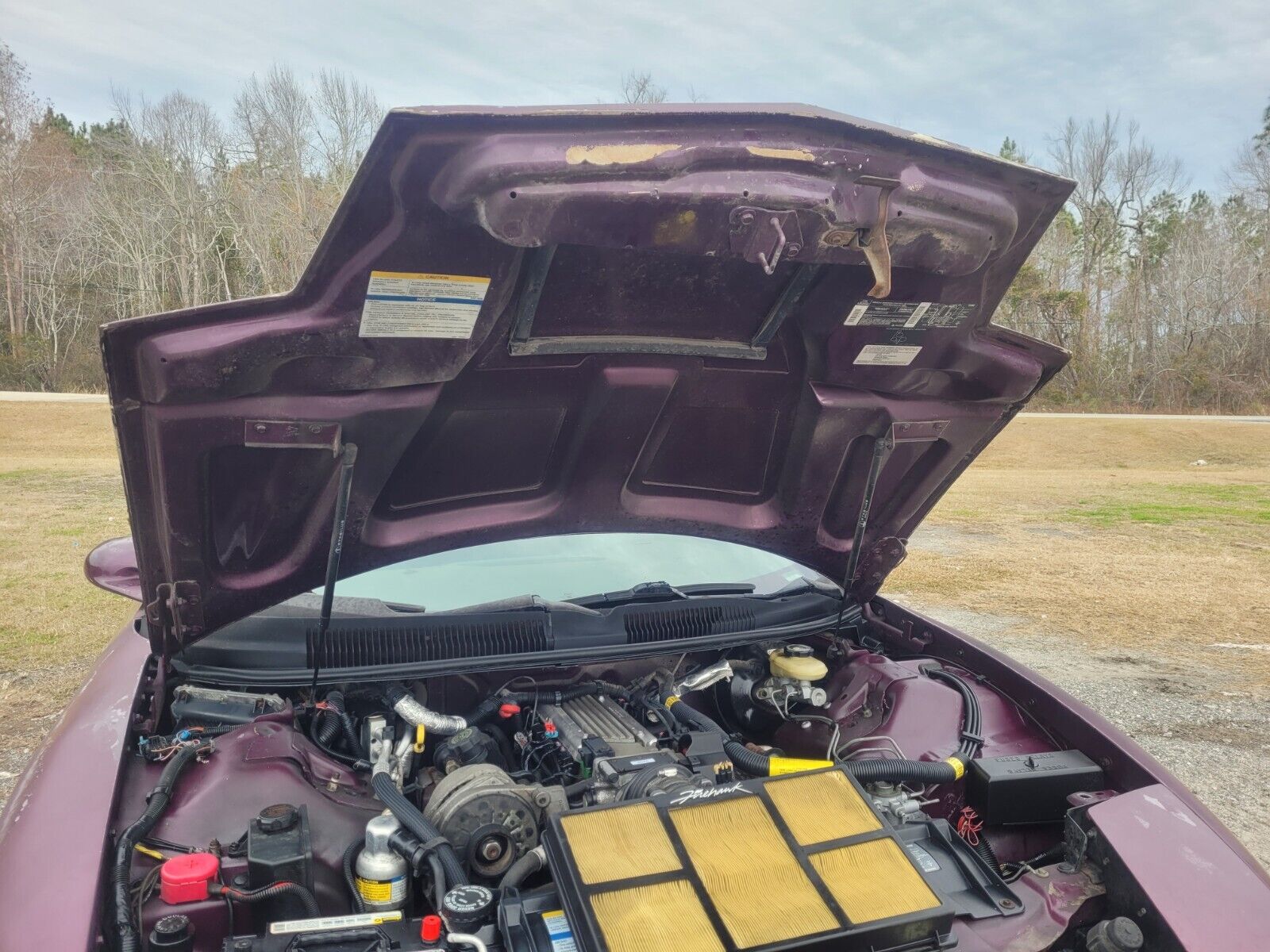 Pontiac-Firebird-Coupe-1995-Medium-Dark-Purple-Metallic-Gray-141914-14