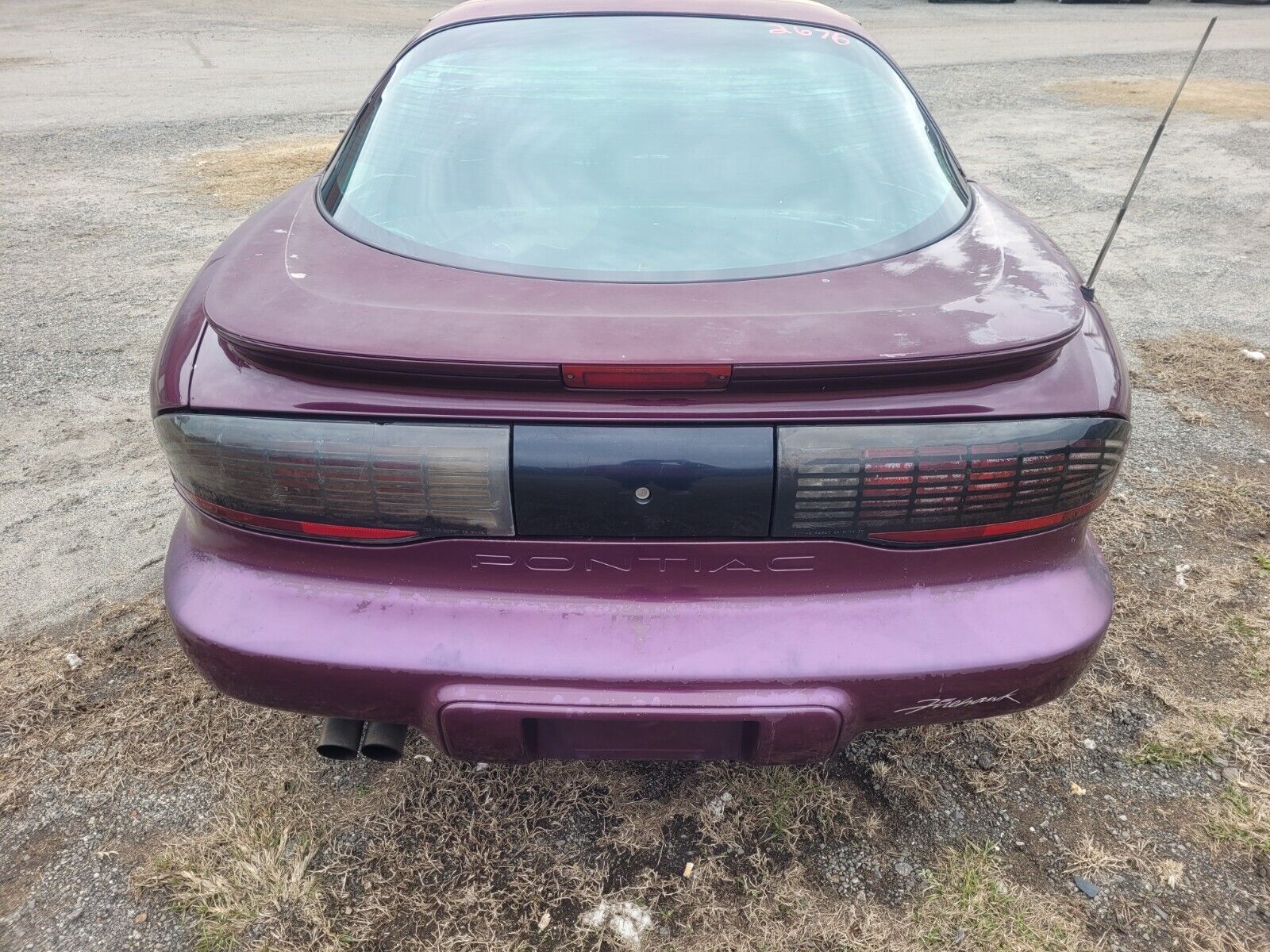 Pontiac-Firebird-Coupe-1995-Medium-Dark-Purple-Metallic-Gray-141914-2