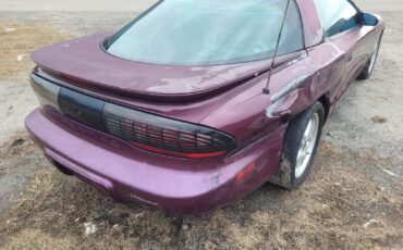 Pontiac-Firebird-Coupe-1995-Medium-Dark-Purple-Metallic-Gray-141914-3