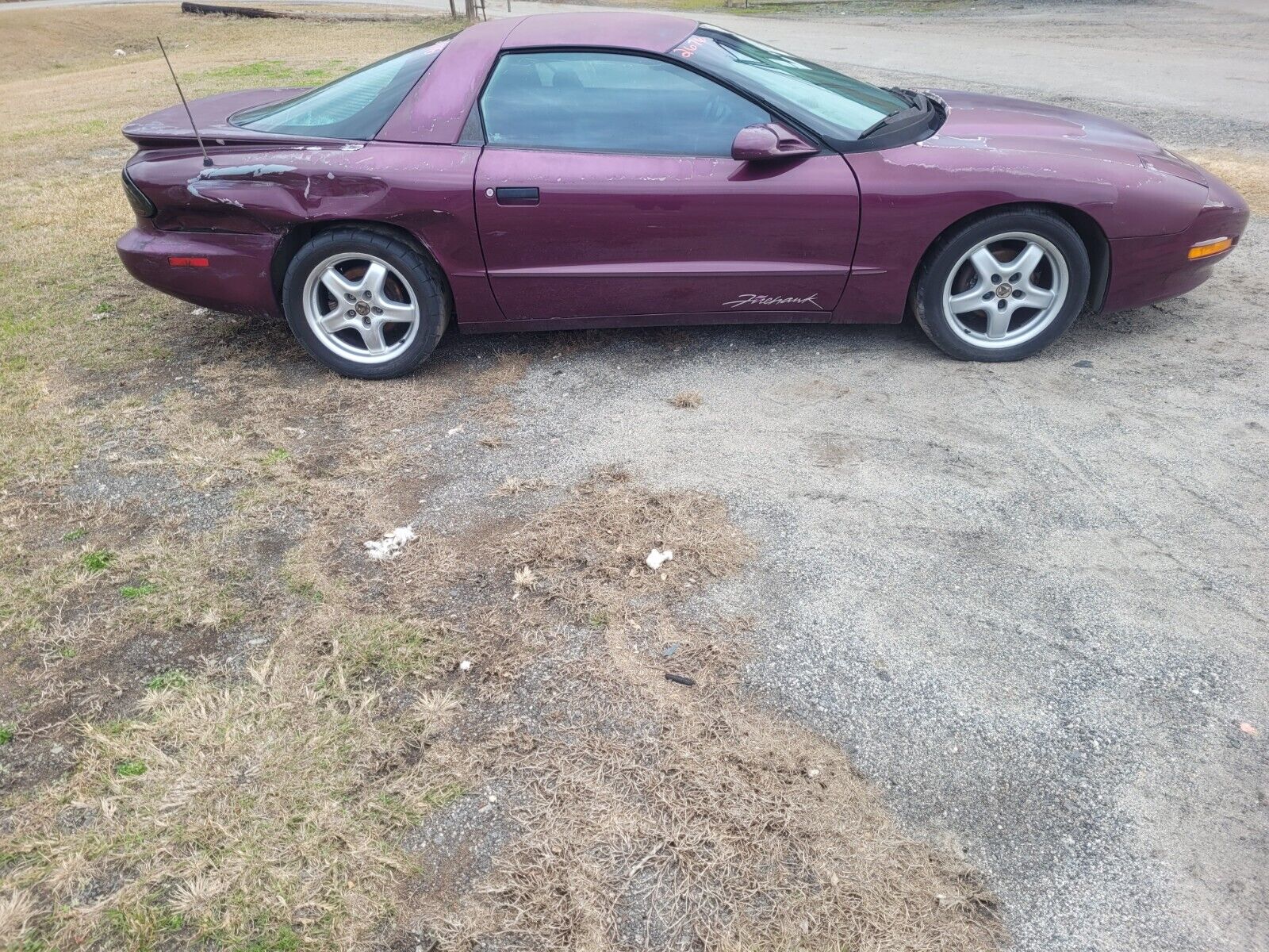 Pontiac-Firebird-Coupe-1995-Medium-Dark-Purple-Metallic-Gray-141914-4