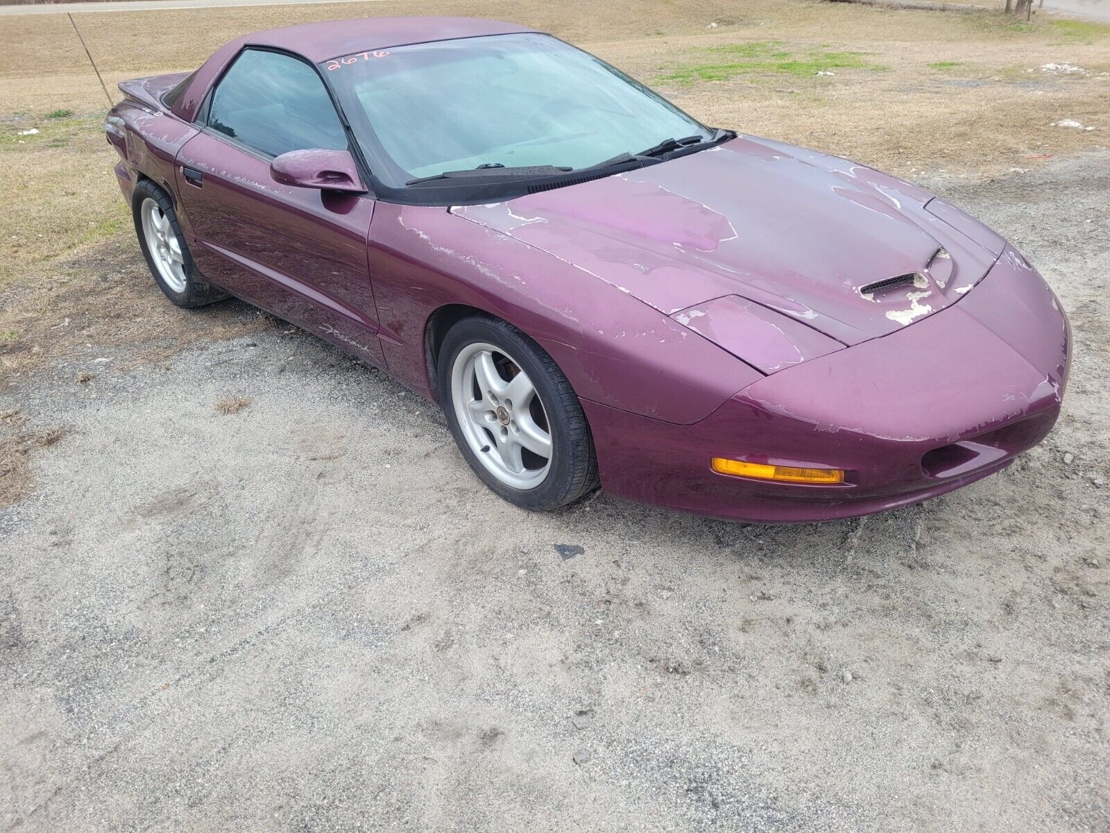 Pontiac-Firebird-Coupe-1995-Medium-Dark-Purple-Metallic-Gray-141914-5