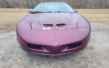 Pontiac-Firebird-Coupe-1995-Medium-Dark-Purple-Metallic-Gray-141914-6