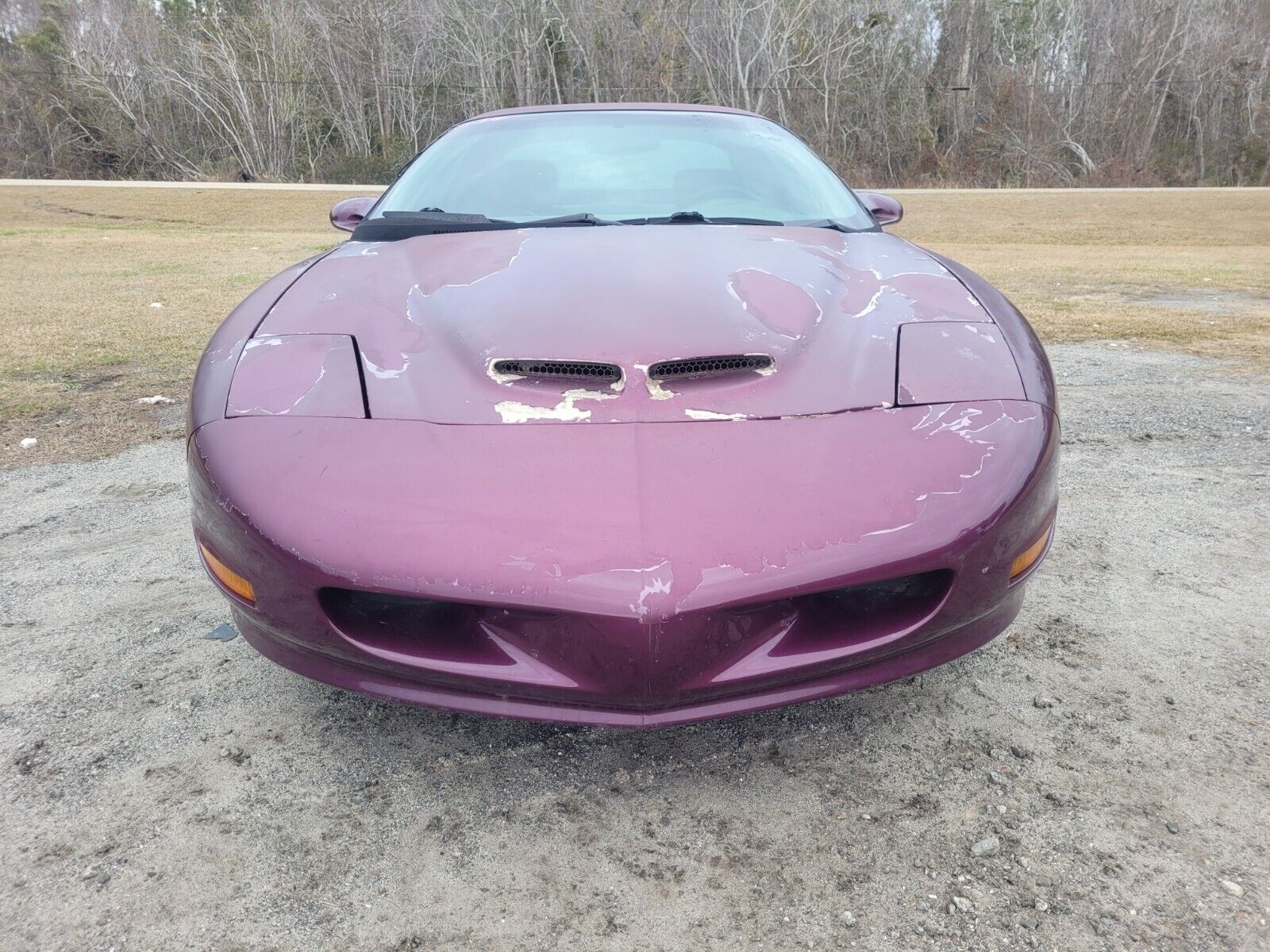 Pontiac-Firebird-Coupe-1995-Medium-Dark-Purple-Metallic-Gray-141914-6