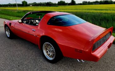 Pontiac-Firebird-trans-am-1979-1