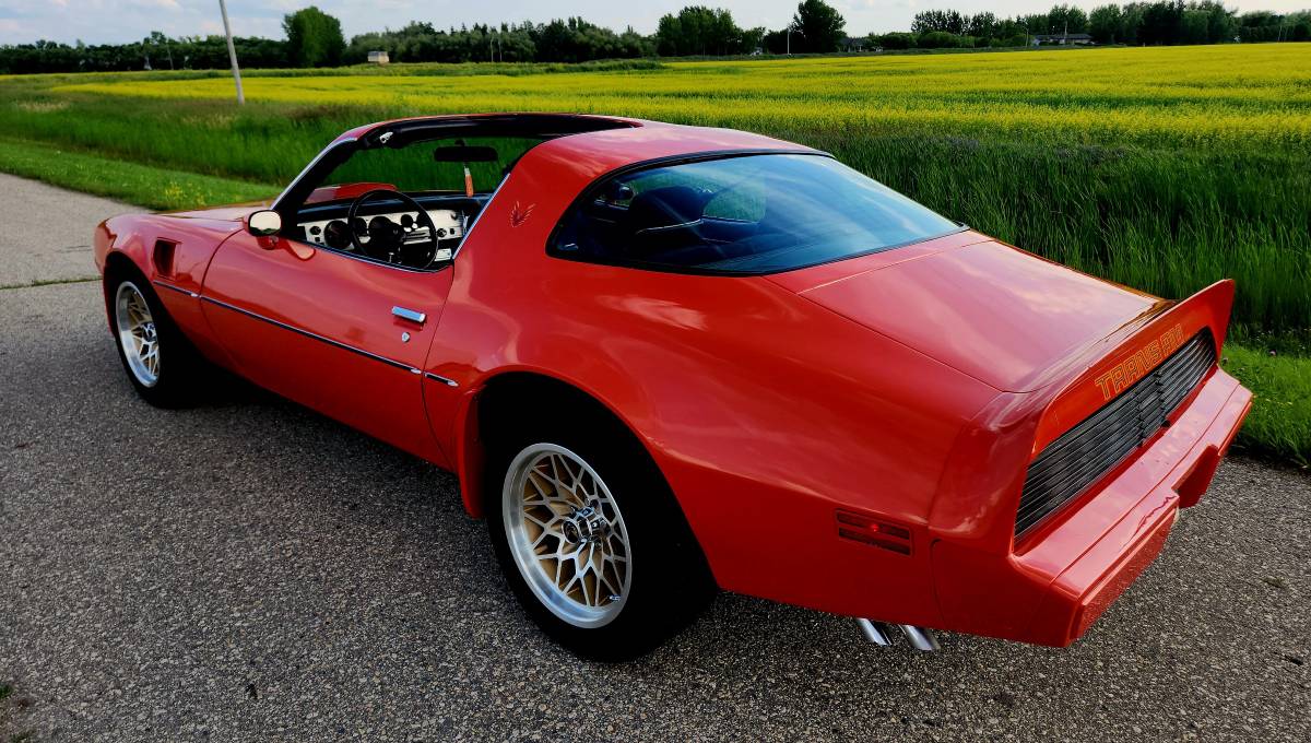 Pontiac-Firebird-trans-am-1979-1