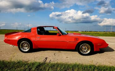 Pontiac-Firebird-trans-am-1979-16