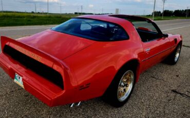 Pontiac-Firebird-trans-am-1979-2