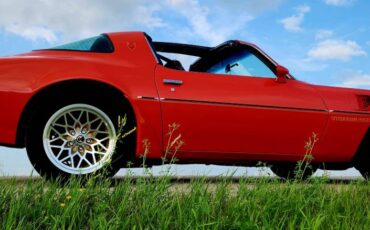 Pontiac-Firebird-trans-am-1979-3