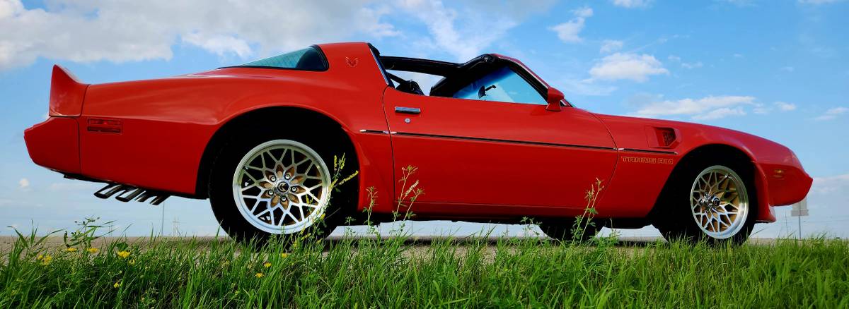 Pontiac-Firebird-trans-am-1979-3