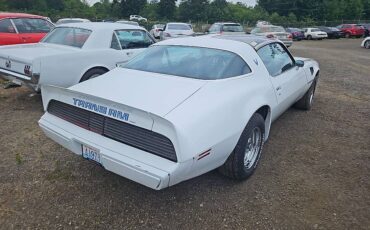 Pontiac-Firebird-trans-am-1979