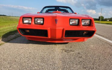 Pontiac-Firebird-trans-am-1979-9