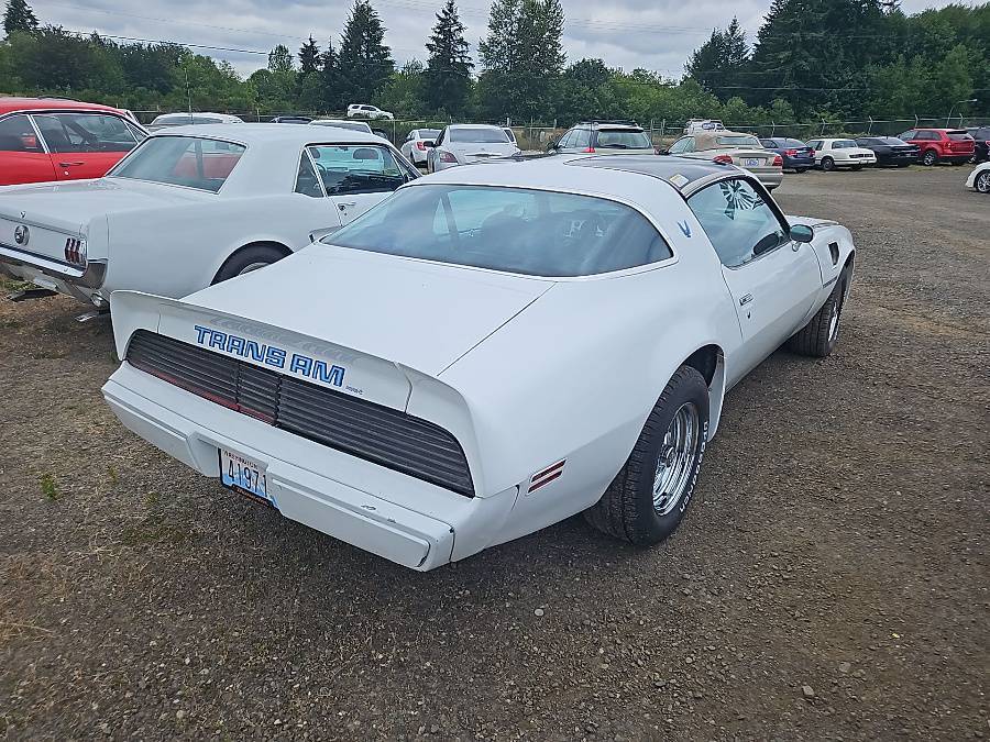 Pontiac-Firebird-trans-am-1979