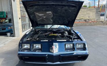 Pontiac-Firebird-trans-am-1980-blue-45062-14