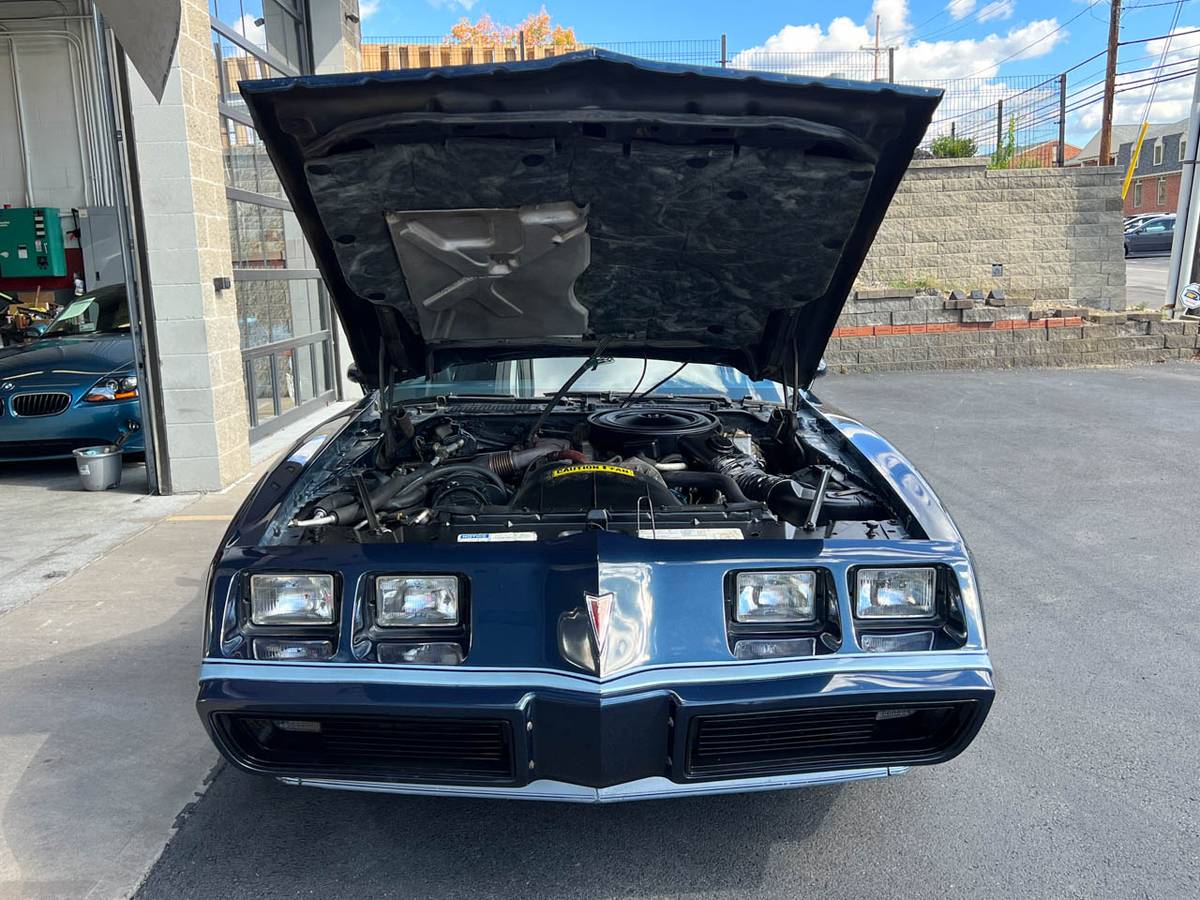 Pontiac-Firebird-trans-am-1980-blue-45062-14