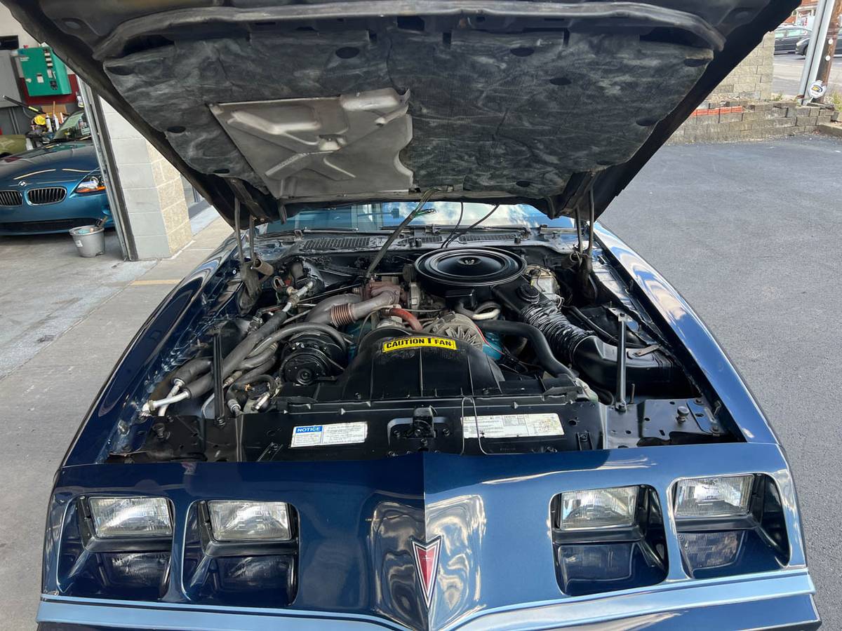 Pontiac-Firebird-trans-am-1980-blue-45062-16