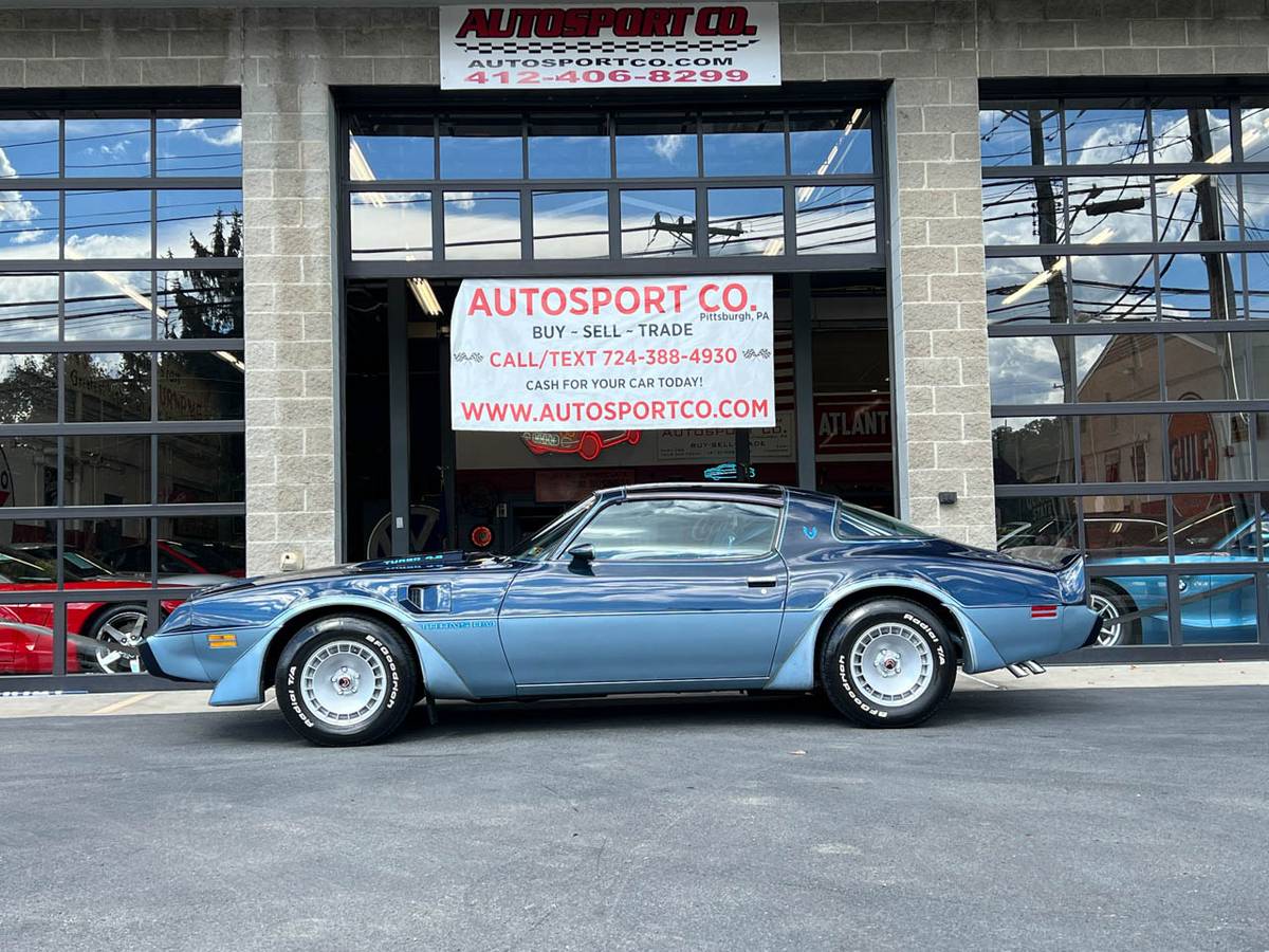 Pontiac-Firebird-trans-am-1980-blue-45062-5