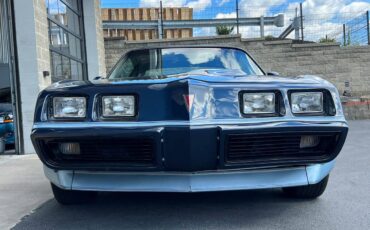 Pontiac-Firebird-trans-am-1980-blue-45062-7