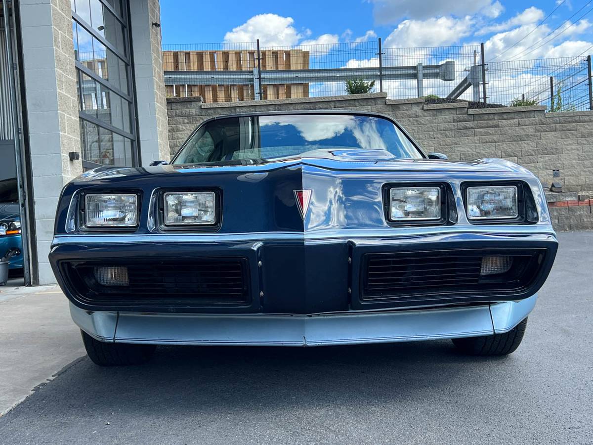 Pontiac-Firebird-trans-am-1980-blue-45062-7