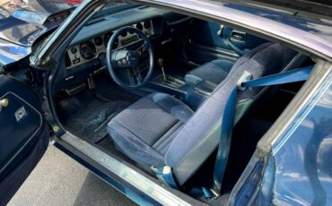 Pontiac-Firebird-trans-am-1980-blue-45062-8