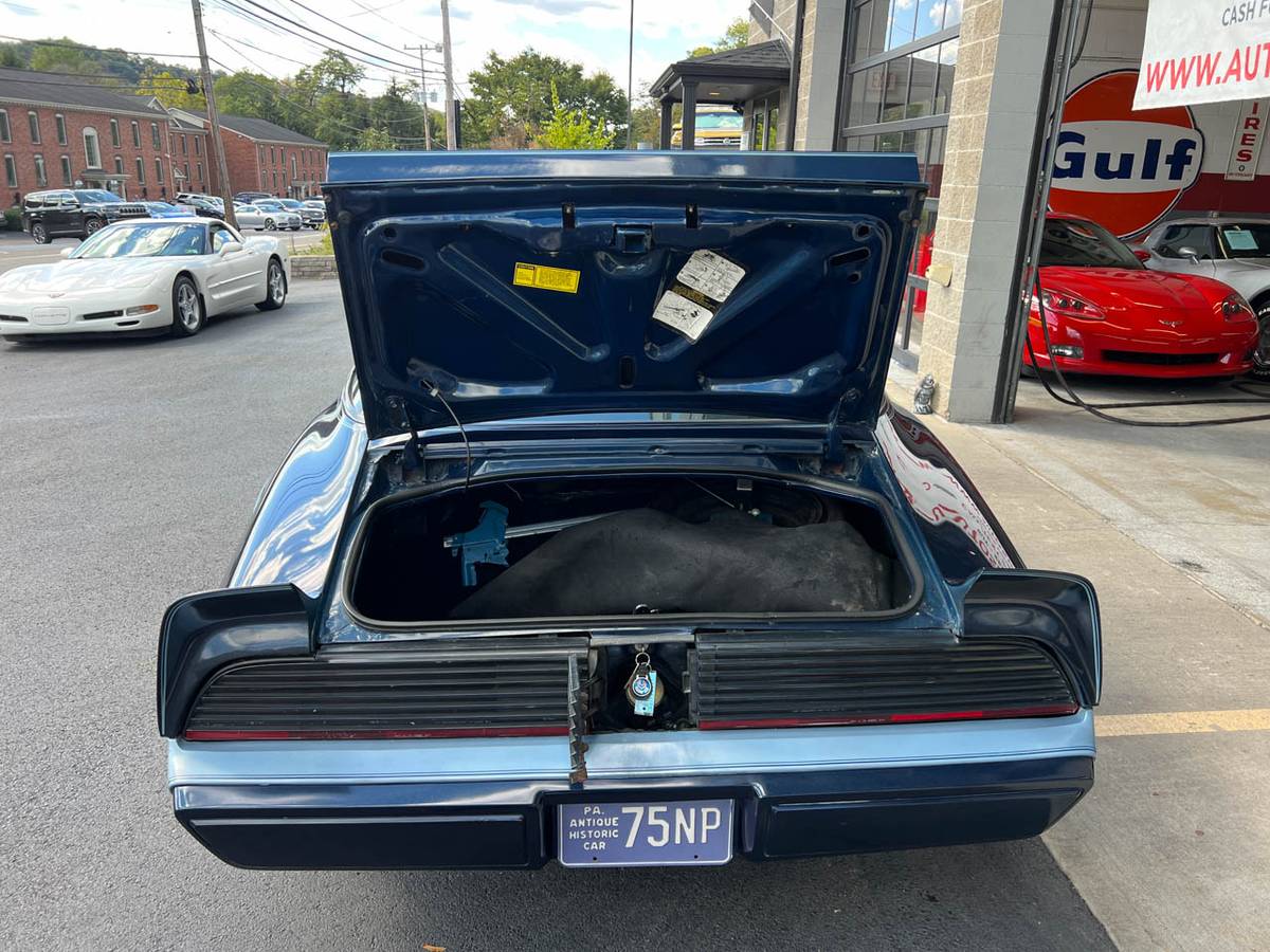 Pontiac-Firebird-trans-am-1980-blue-45062-9