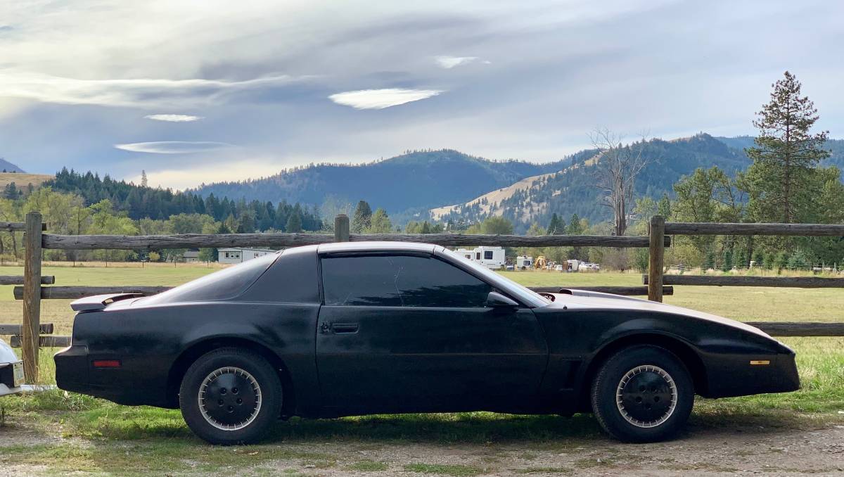 Pontiac-Firebird-trans-am-1982-10