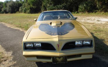 Pontiac-Firebird-trans-am-ws6-1979-1