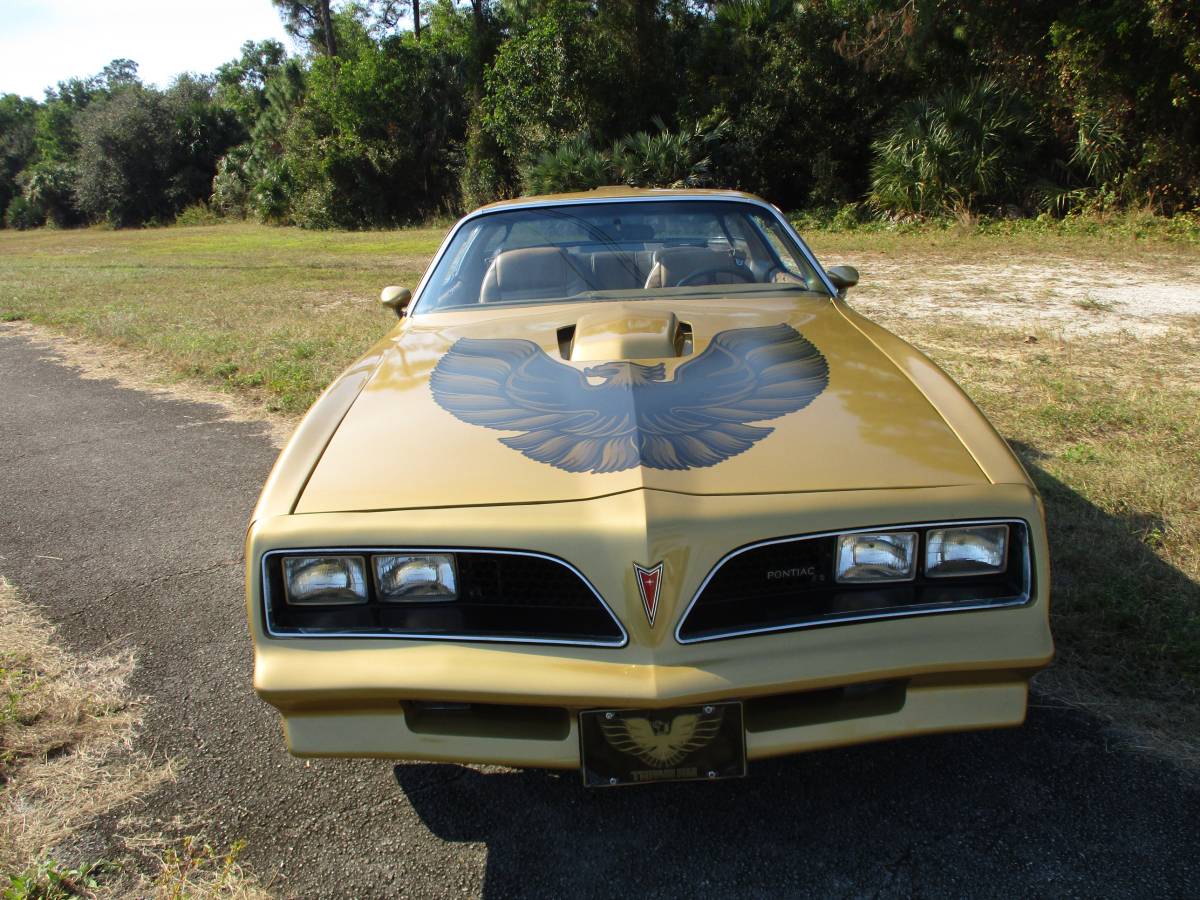 Pontiac-Firebird-trans-am-ws6-1979-1