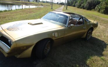 Pontiac-Firebird-trans-am-ws6-1979-2