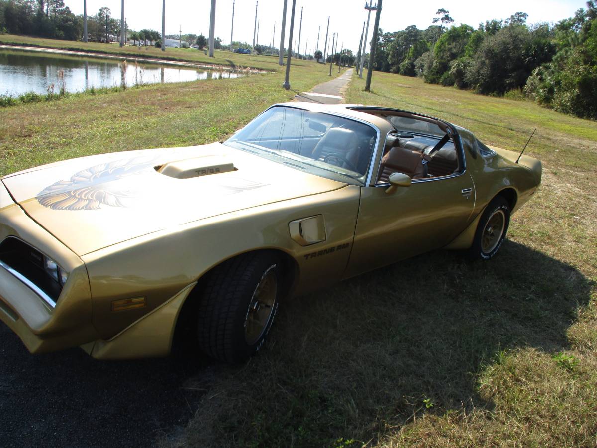 Pontiac-Firebird-trans-am-ws6-1979-2