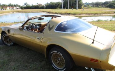 Pontiac-Firebird-trans-am-ws6-1979-3