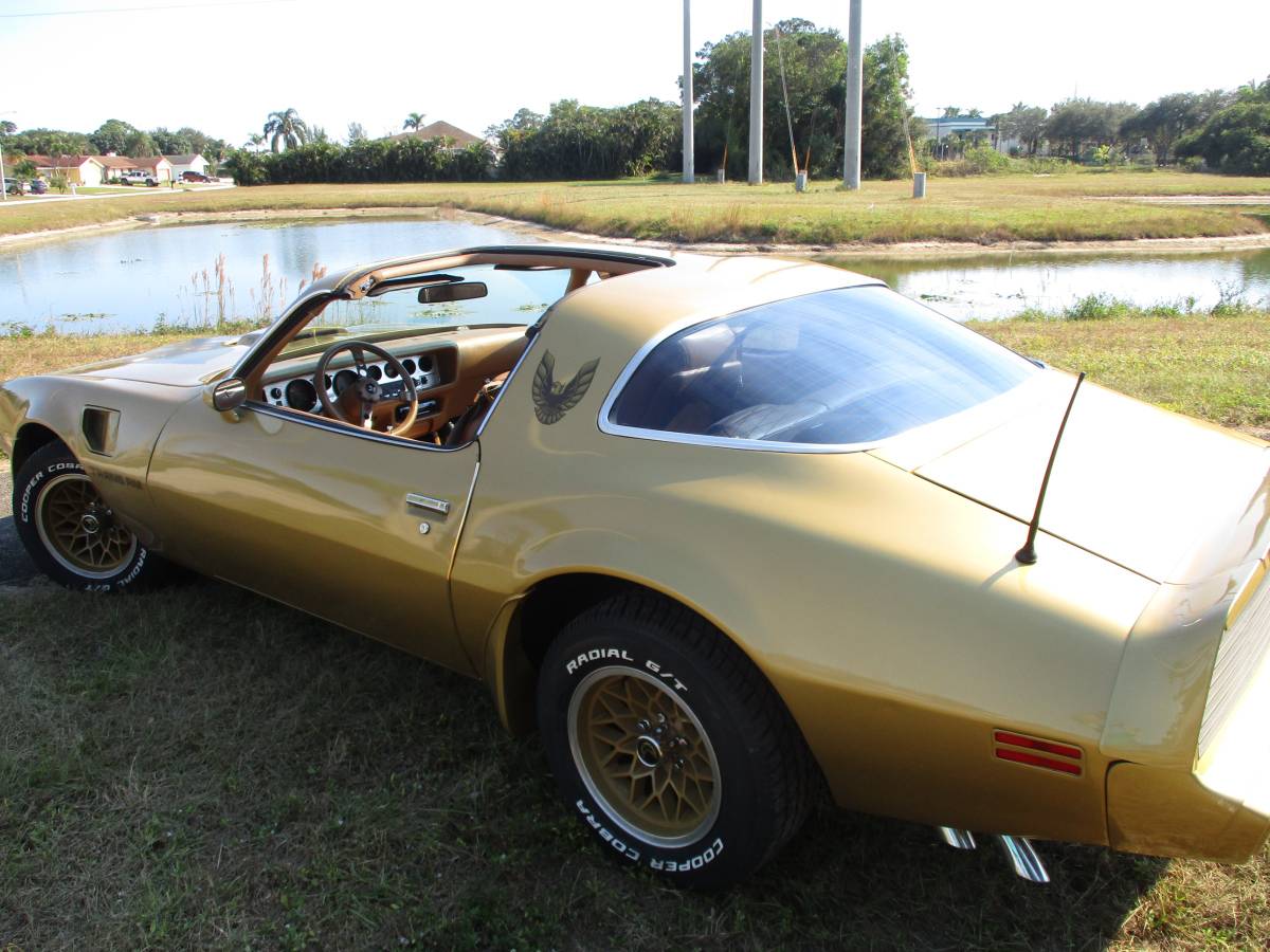 Pontiac-Firebird-trans-am-ws6-1979-3