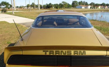 Pontiac-Firebird-trans-am-ws6-1979-4