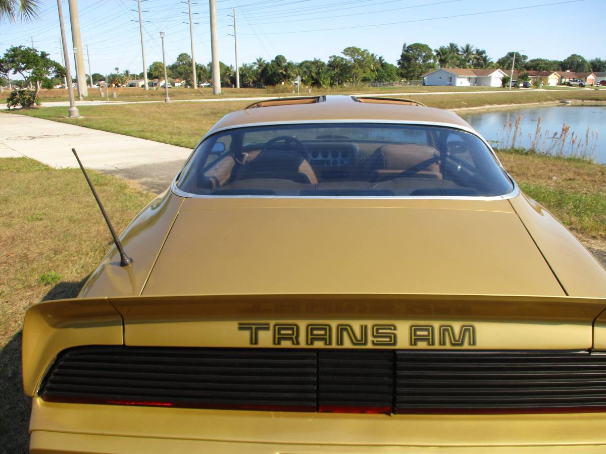 Pontiac-Firebird-trans-am-ws6-1979-4