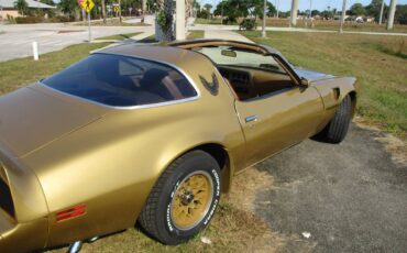 Pontiac-Firebird-trans-am-ws6-1979-5