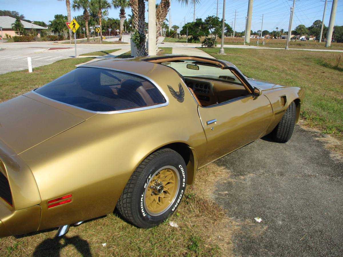 Pontiac-Firebird-trans-am-ws6-1979-5