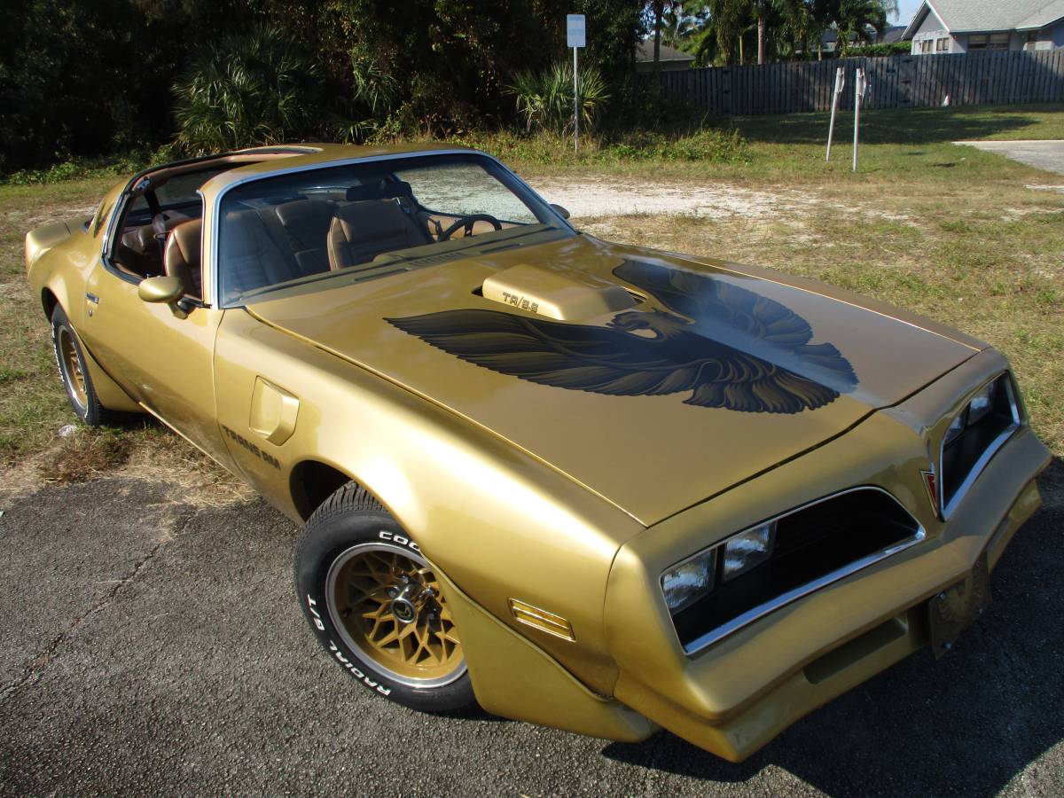 Pontiac-Firebird-trans-am-ws6-1979