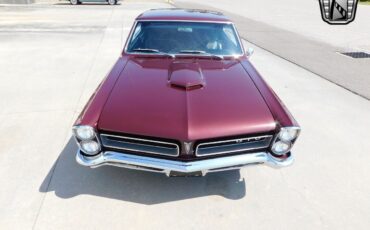 Pontiac-GTO-1965-Burgundy-Black-11526-6