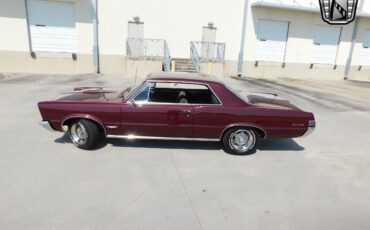 Pontiac-GTO-1965-Burgundy-Black-11526-8