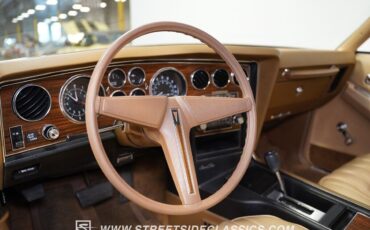 Pontiac-Grand-Prix-Coupe-1976-Bavarian-Cream-Tan-20553-4