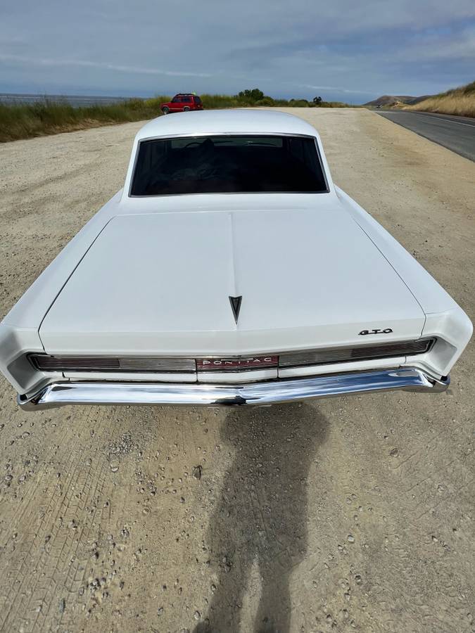 Pontiac-Gto-1964-white-80467-17