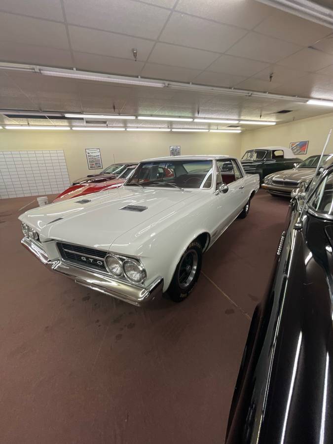 Pontiac-Gto-1964-white-80467-2