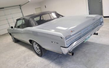 Pontiac-Gto-1966-136794-1