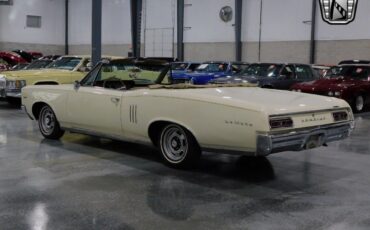 Pontiac-Le-Mans-Cabriolet-1967-Cream-Brown-130214-3