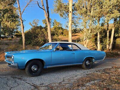 Pontiac-Le-Mans-Coupe-1966-Blue-Black-91482-11