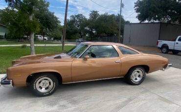 Pontiac-Lemans-1975-2