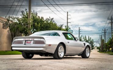 Pontiac-Trans-Am-1976-Silver-Black-87864-17