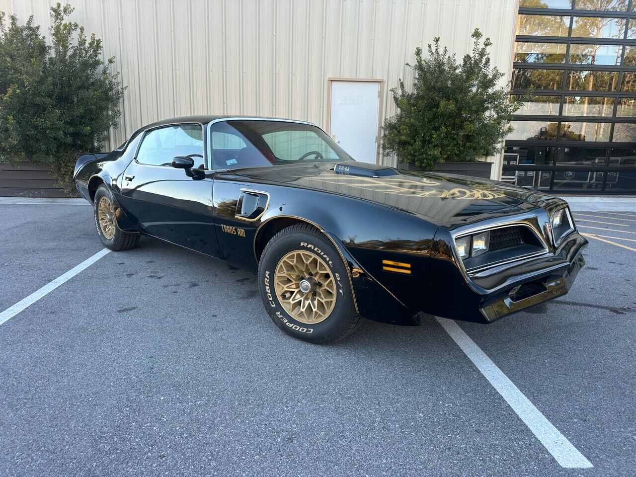 Pontiac-Trans-Am-1978-Black-Red-10498-1