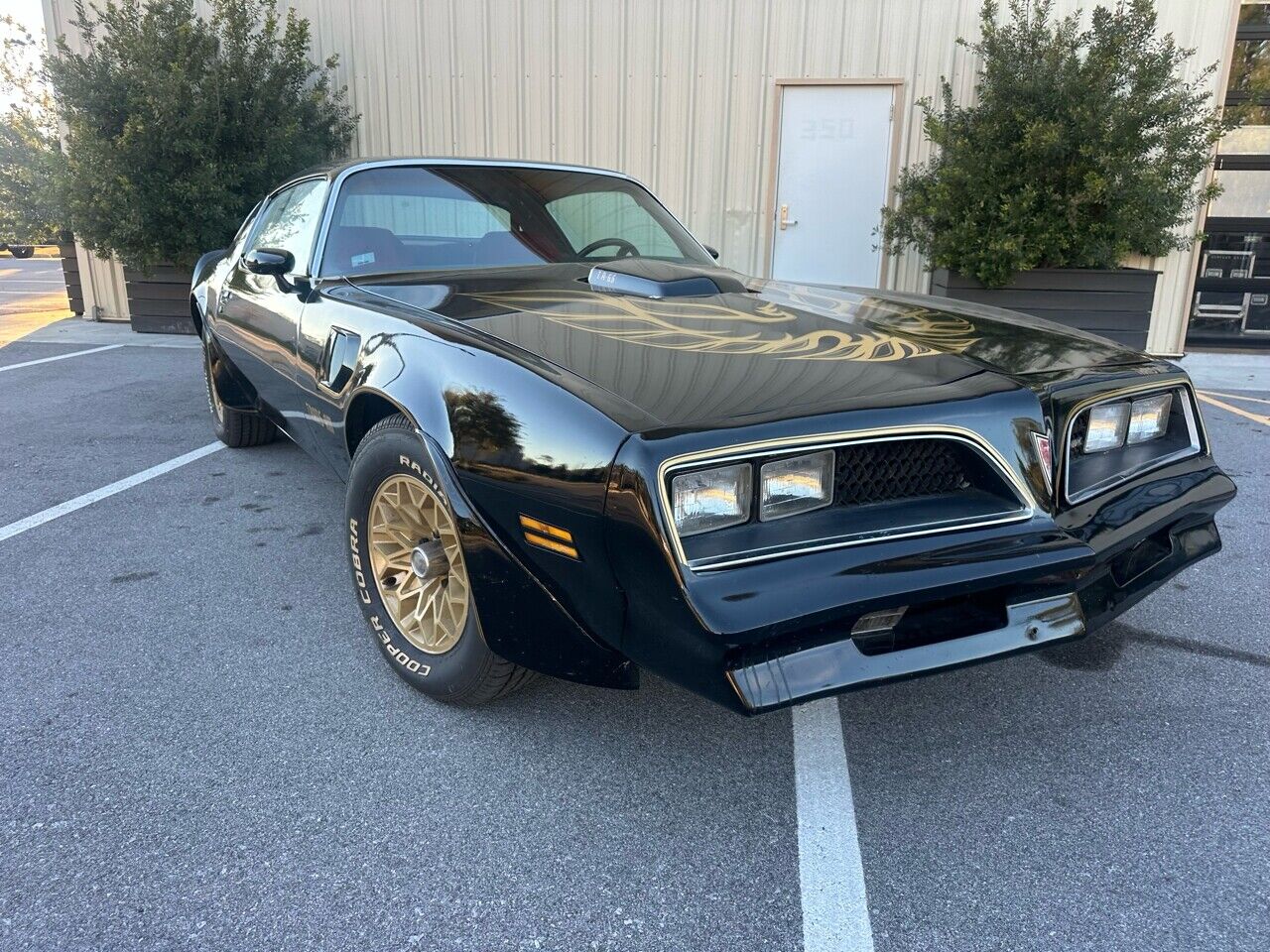 Pontiac-Trans-Am-1978-Black-Red-10498-2