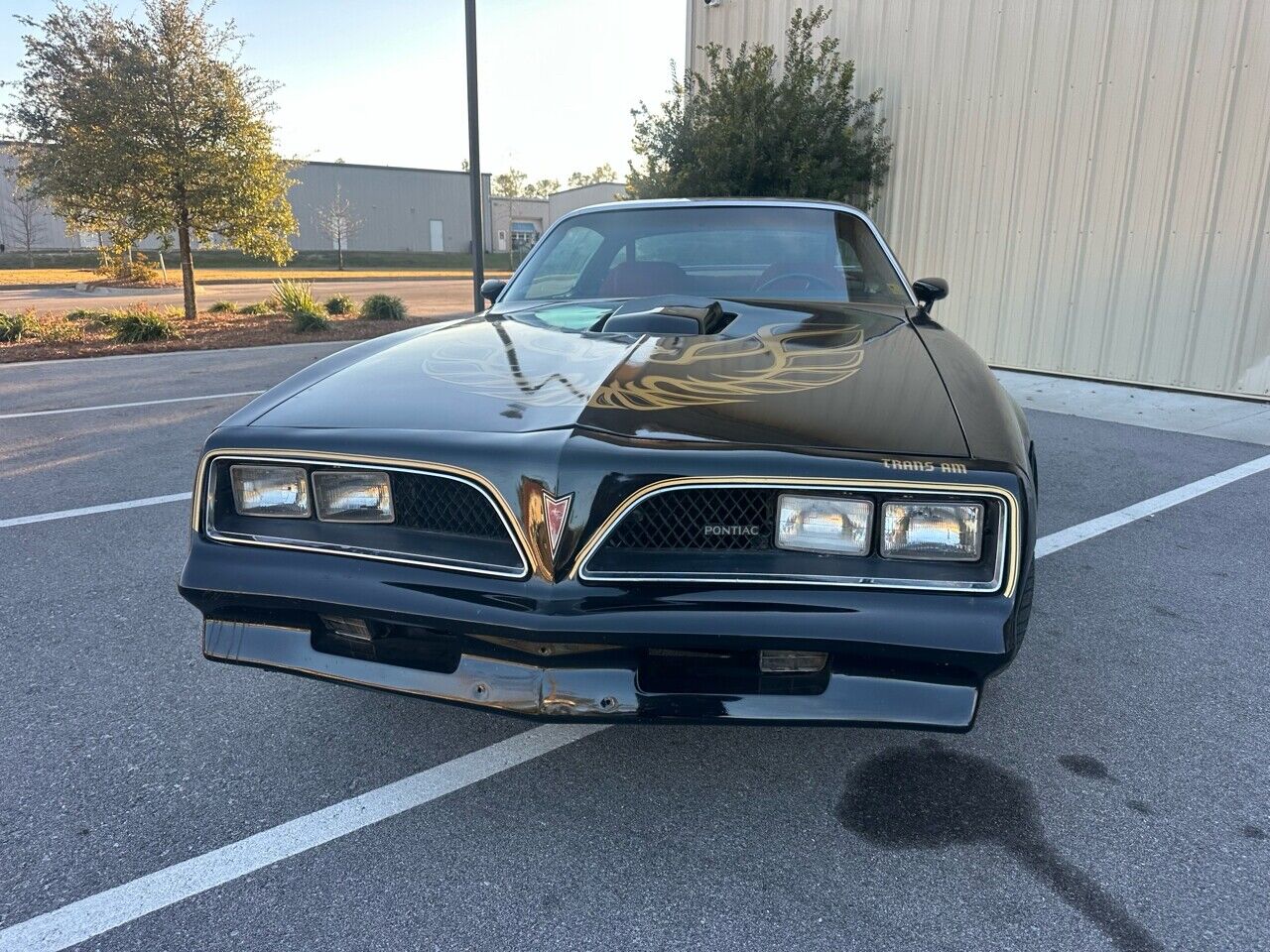 Pontiac-Trans-Am-1978-Black-Red-10498-4