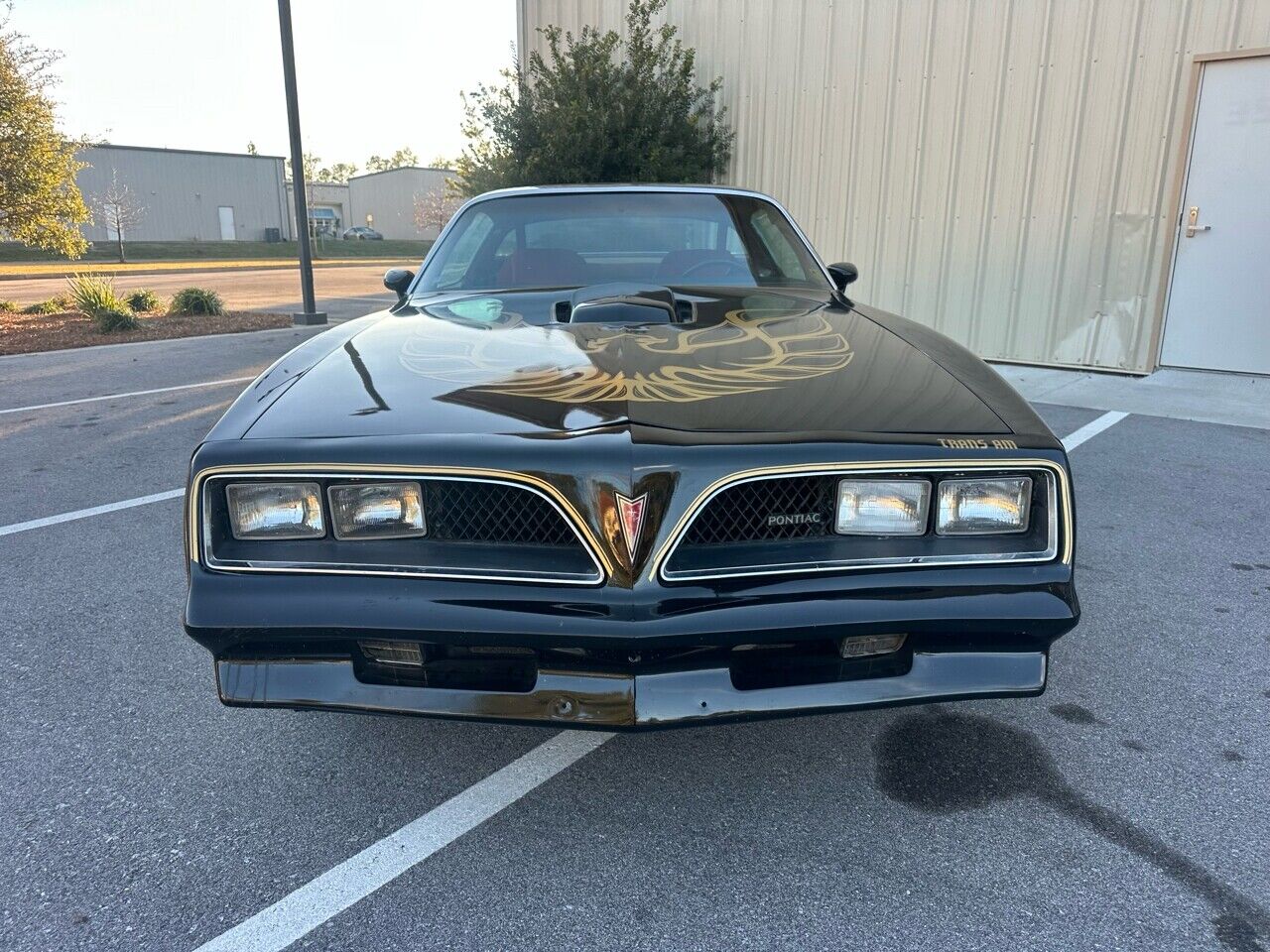 Pontiac-Trans-Am-1978-Black-Red-10498-5